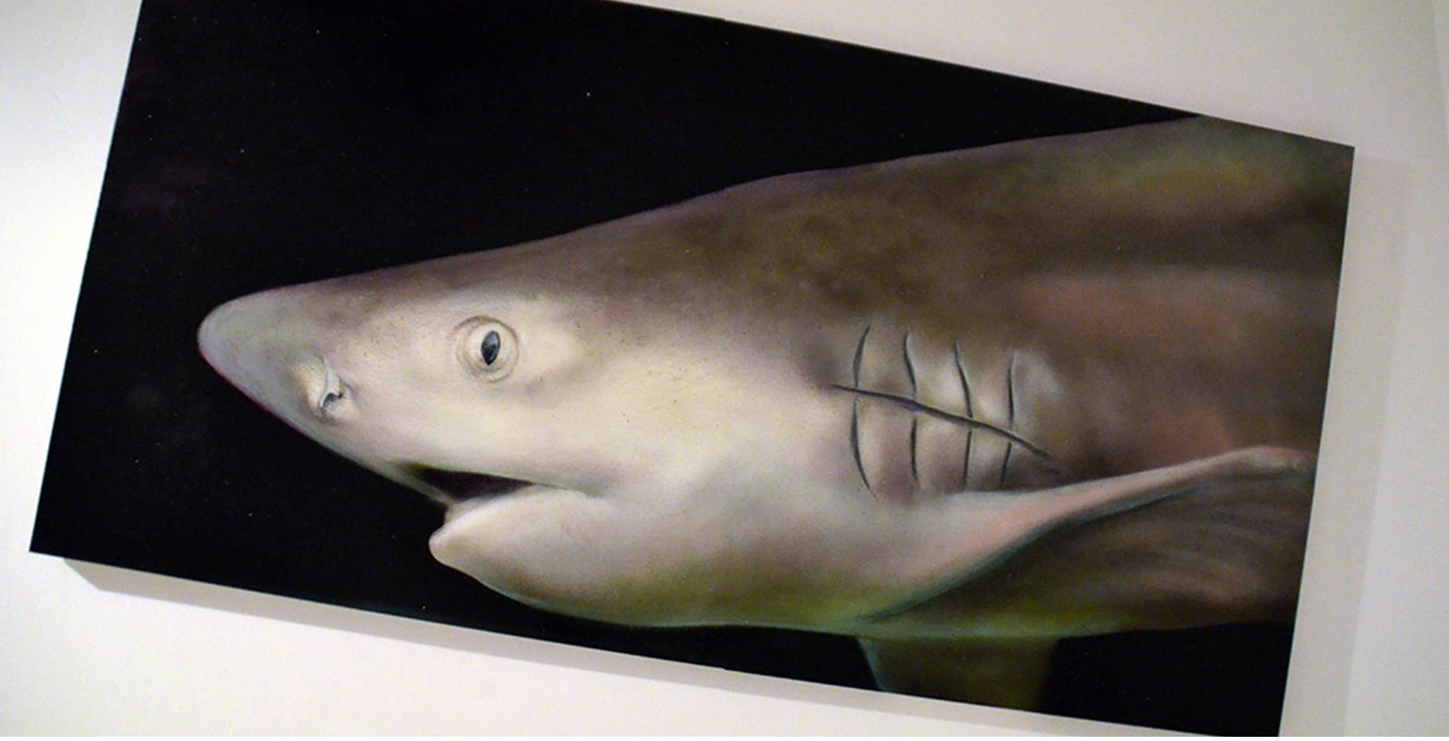 Marcel Walldorf, Der weiße Hai